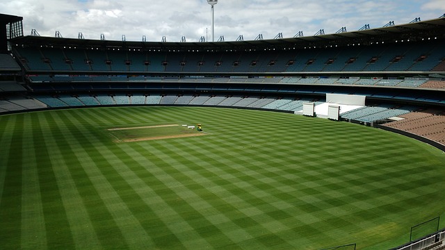 上海海港的 上海海港的