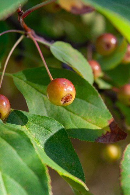 这一刻属于 这一刻属于