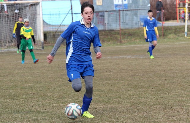 观众的期望 观众的期望