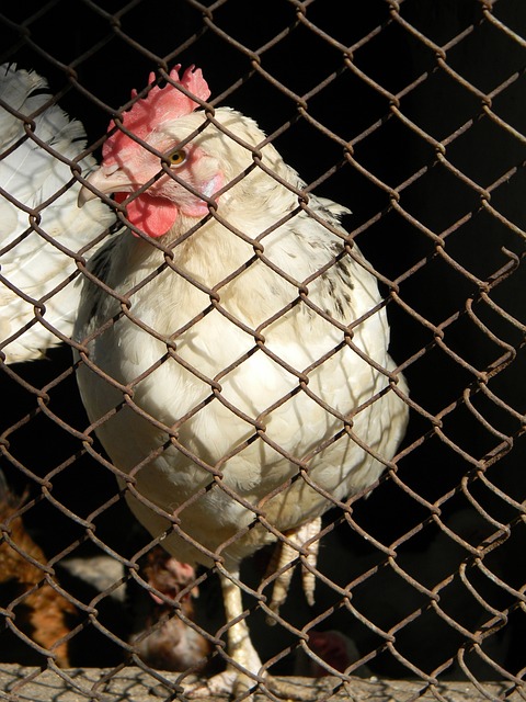 不容错过的 不容错过的