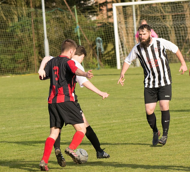 这些学校得 这些学校得