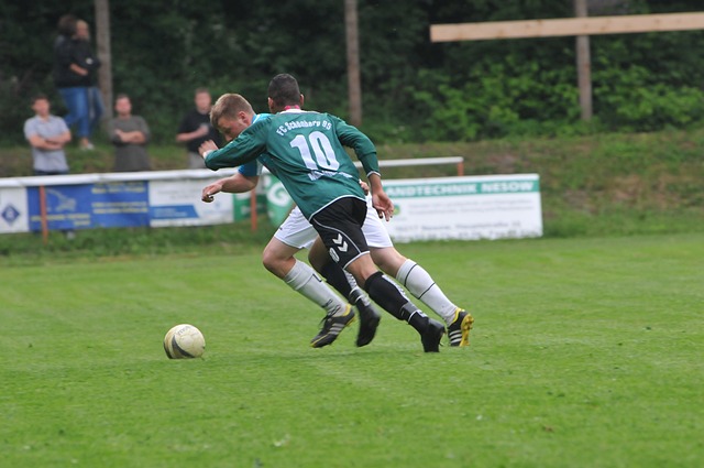 功不仅是个 功不仅是个