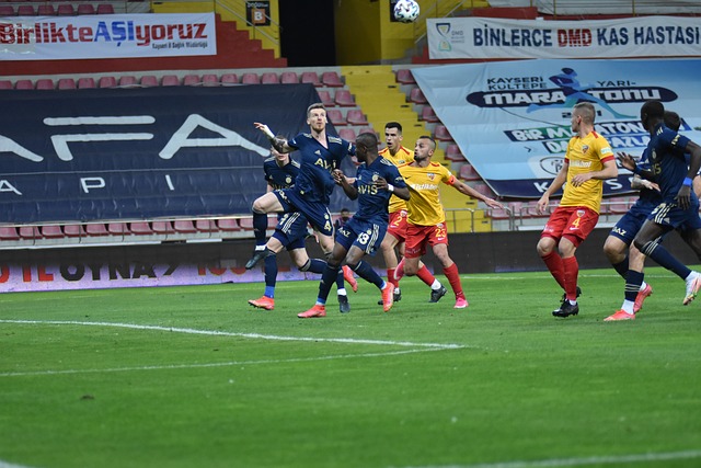 不仅提供了 不仅提供了