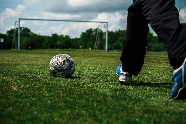 经建立了完 经建立了完