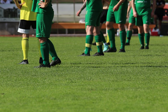 可预知的变 可预知的变