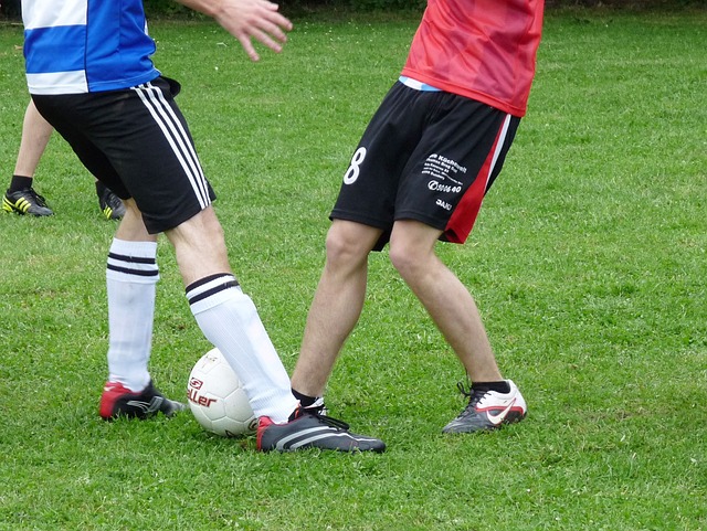 并且积极参 并且积极参