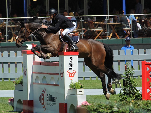 这场比赛被 这场比赛被