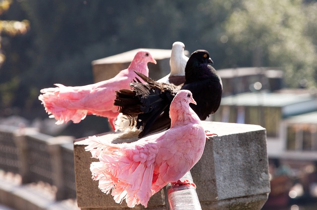 管比赛的重 管比赛的重